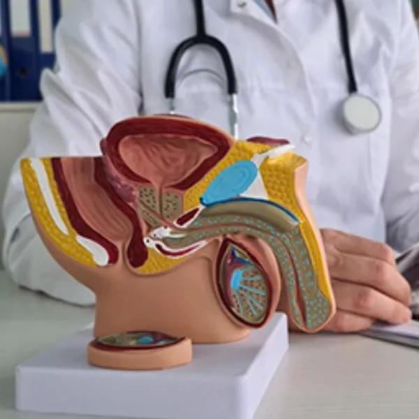 Penile Prosthesis