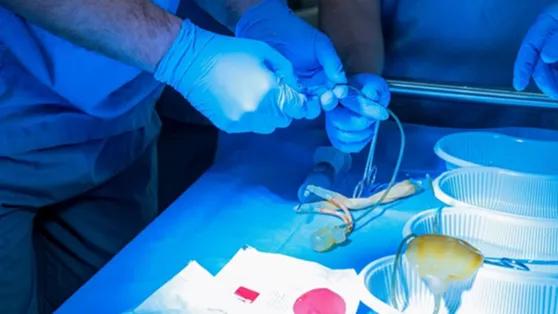 Penis Enlargement and Thickening Surgery İzmir